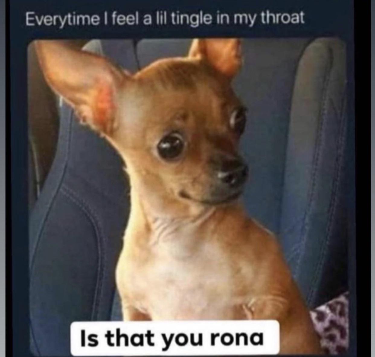 Is that you Rona?